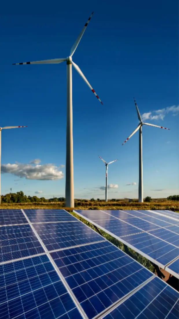 Independent Power Producers